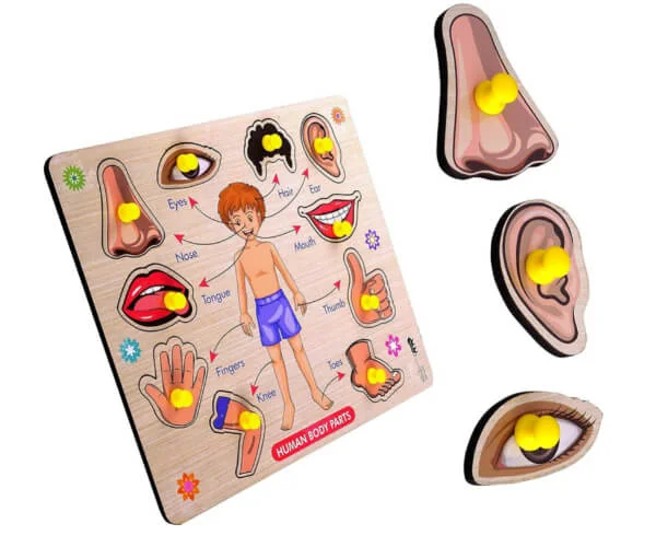 Body Parts Wooden Jigsaw Puzzle_RC000135_1