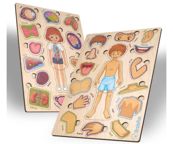 Human Body Parts Wooden Jigsaw Puzzle_RC000147_1