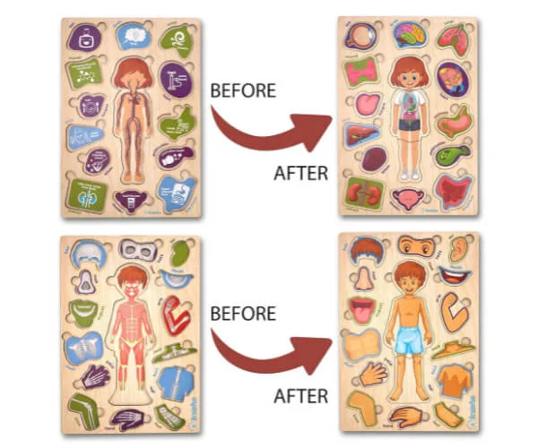 Human Body Parts Wooden Jigsaw Puzzle_RC000147_3